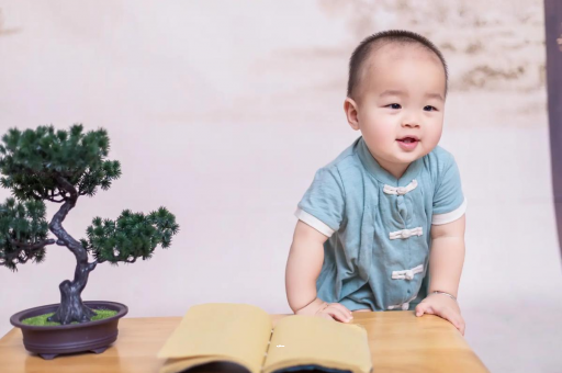 攸县可爱的企鹅宝宝